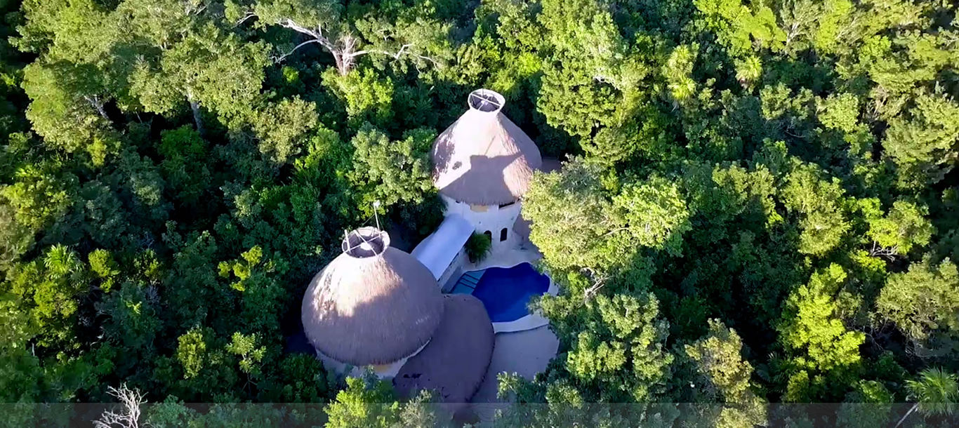 De la <strong>selva maya</strong>